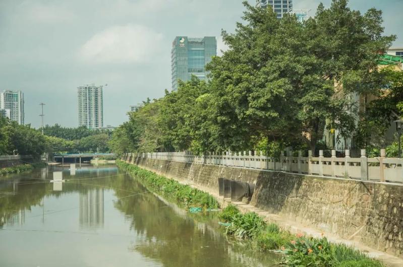 寶安水經注&middot;新安 | 堤岸拂綠、花紅臨水,河流讓城市更靈動